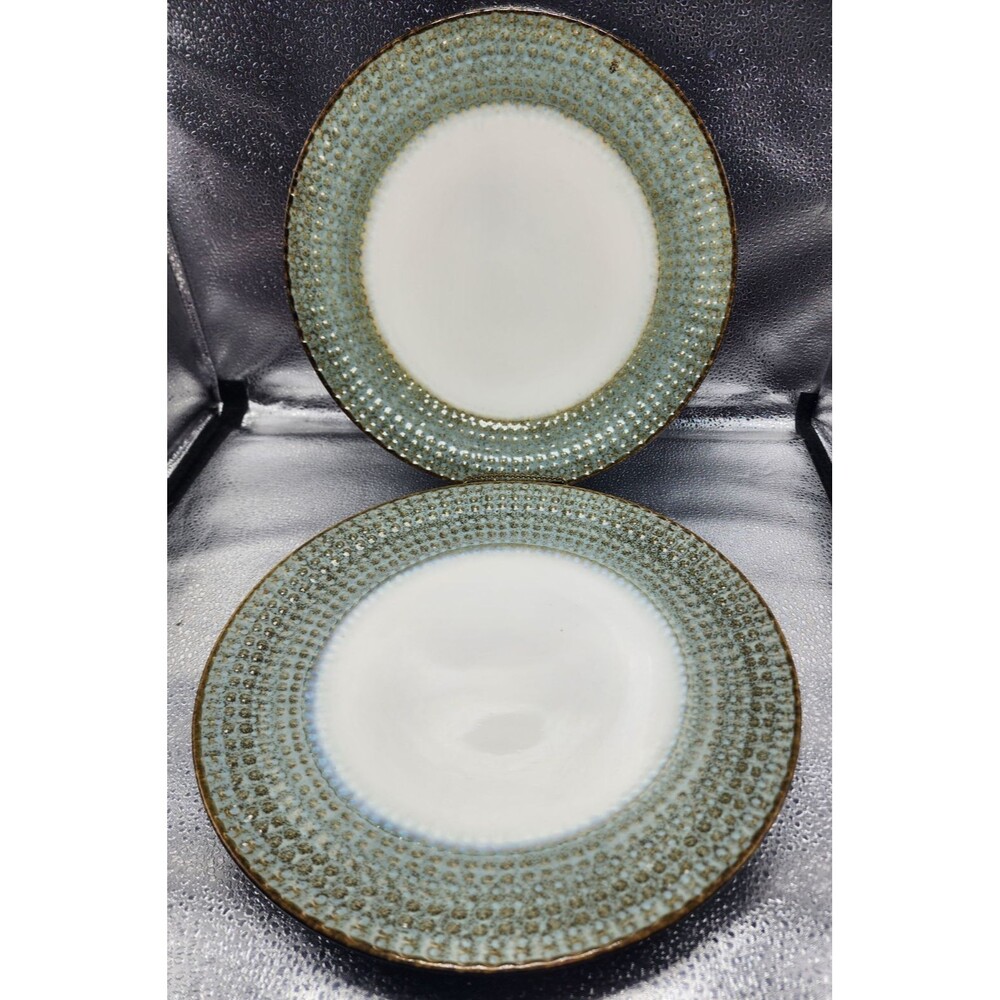 Pier 1 Imports "Allison" Stoneware Dinner Plates (Set of 2) READ!!!
